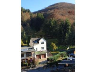 romantic side valley of Rhenish Slate Mountains - Sauerthal - 5