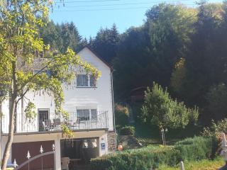romantic side valley of Rhenish Slate Mountains - Sauerthal - 3