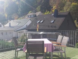 romantic side valley of Rhenish Slate Mountains - Sauerthal - 7