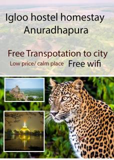 Igloo hostel Homestay Anuradhapura - Anuradhapura - 0