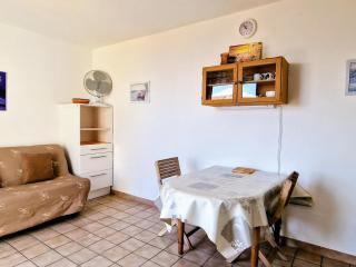 BANYULS-SUR-MER: Appartement avec Terrasse, Clim, Parking et Animaux acceptés - FR-1-309-53 - Banyuls-sur-Mer - 8
