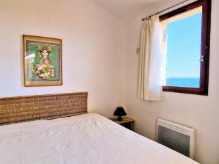 BANYULS-SUR-MER: Appartement avec Terrasse, Clim, Parking et Animaux acceptés - FR-1-309-53 - 4