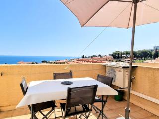 BANYULS-SUR-MER: Appartement avec Terrasse, Clim, Parking et Animaux acceptés - FR-1-309-53 - Banyuls-sur-Mer - 1