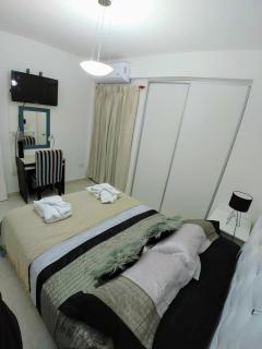 Beautiful One Bedroom Apartment with Garage - 7