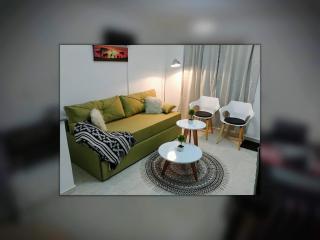 Beautiful One Bedroom Apartment with Garage - 4