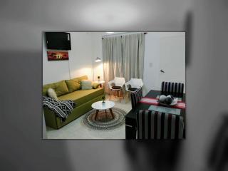 Beautiful One Bedroom Apartment with Garage - 2