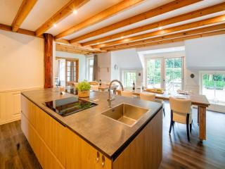 Fantastic spacious farmhouse with new sauna, hottub and bar, cleaning included - Noordbergum - 0