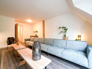 Fantastic spacious farmhouse with new sauna, hottub and bar, cleaning included - Noordbergum - 3