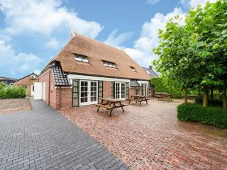 Fantastic spacious farmhouse with new sauna, hottub and bar, cleaning included - Noordbergum - 9