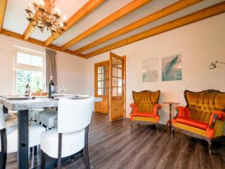 Fantastic spacious farmhouse with new sauna, hottub and bar, cleaning included - Noordbergum - 4