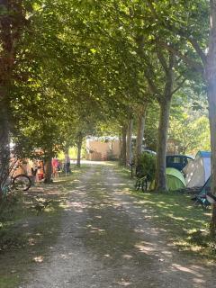 Le Pod chez Camille - Veynes - 5