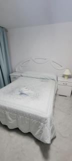 Alojamiento Completo en Yanahuara Arequipa - Arequipa - 6