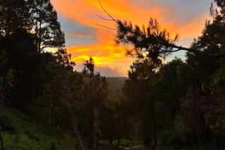 Cabañas San José del Pacífico - 6