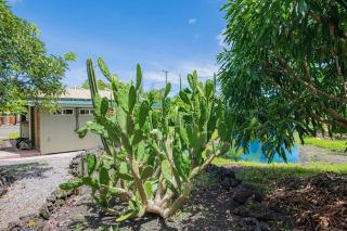 Glamping Garden Getaway - Pahoa - 5