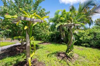 Glamping Garden Getaway - Pahoa - 6