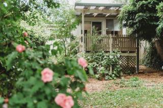 Elm Tree Cottage - Cosy Home Close to Cook Park - Orange - 2