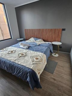 Centrico departamento a paso de Metro Santa Ana, La Moneda, Plaza de Armas y Centro de santiago - Santiago - 6