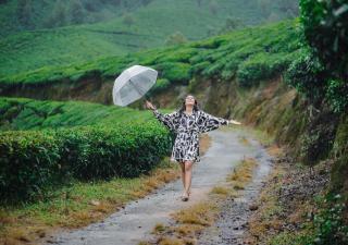 Viriparai Tea Bungalow Munnar by VOYE HOMES - Munnar - 8