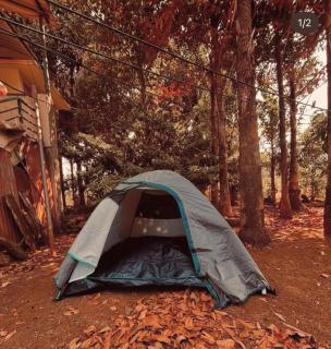 Tamhini Home Stay - - 1