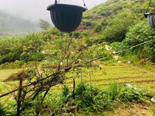 Orino Cabana - Nuwara Eliya - 8