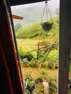 Orino Cabana - Nuwara Eliya - 3