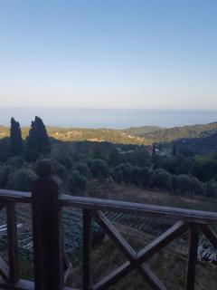 DIANA LUXURy - Kallithea Halkidikis - 5