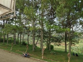 Puncak azoul villa - Cinengangirang - 6