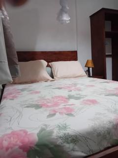 Maison 2 chambres avec jardin - Foulpointe - Foulpointe - 1