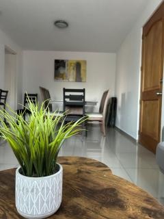 Cómodo Departamento en San Andrés Cholula - Cholula - 9