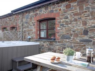 The Old Mill House - Welcombe - 8