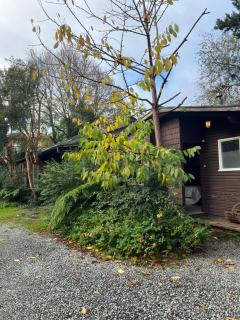 cabaña Gosem - Puerto Varas - 3