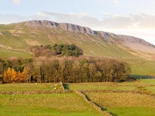 Lilac Cottage - Hawes - 3