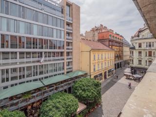 Gorgeous apartment in center - 2