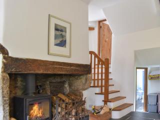The Thatched Cottage - Uk49600 - Lifton - 1