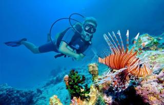La Isla Bonita - Maafushi - 4