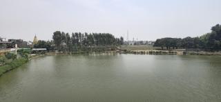Taal Resort & Cafe - Jāmb - 3
