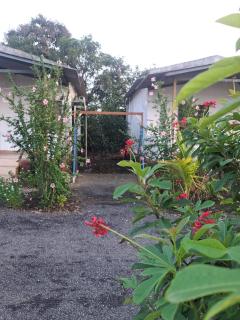 Gir Ness Farm & Resort - - 4