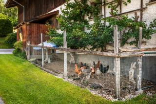 Maierlehen - Pfarrwerfen - 2