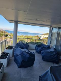 Pandanus Coolum Beach - Coolum Beach - 5