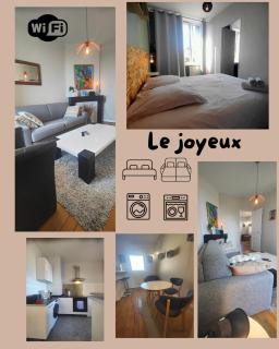 Résidence Leclerc - Appartements d'hôtes - Secteur thermal - Nancy - 7