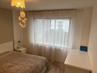 Superbe F2 Quartier de la Briquerie - Thionville - 1