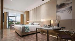Sanya Shuangda Adelaide In Resort Hotel - Sanya - 6