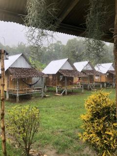 Sparrow Hut - Pai - 7