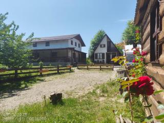 Căsuța de la râu - - 0