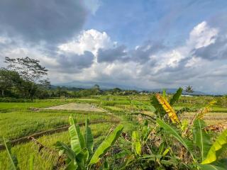 Bilqis Homestay Syariah Mitra RedDoorz - Wonosobo - 6