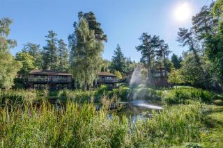 Hilton Grand Vacations Club Craigendarroch Suites Scotland - Ballater - 5