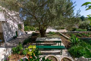 Apartments Tomaš - Trogir - 9