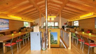 Alpin-Chalet - Wagrain - 5