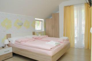Apartments Kaskade - Soko Banja - 4