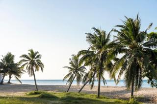 Zara Beach Resort Koh Samui - 9